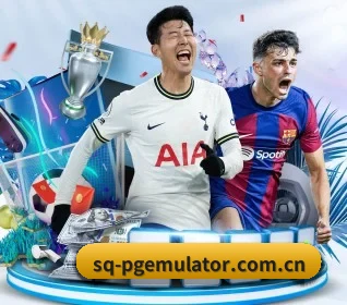 五大服务分区,信息按项目分类 | PG